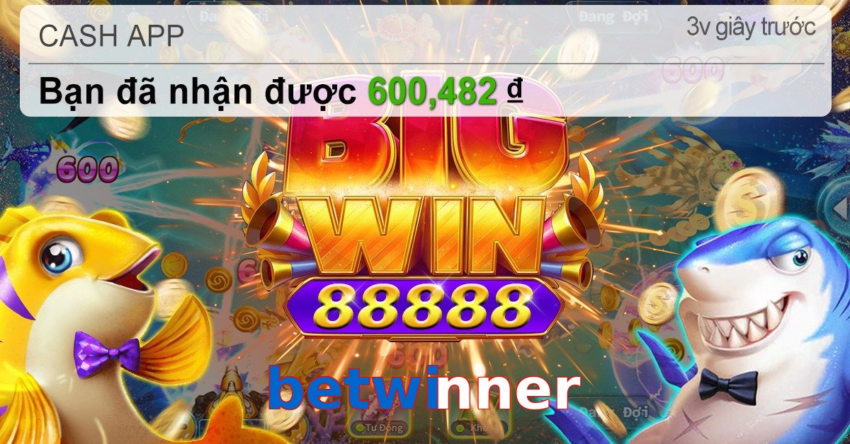 betwinner